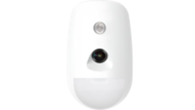 Wireless PIR-Camera Detector